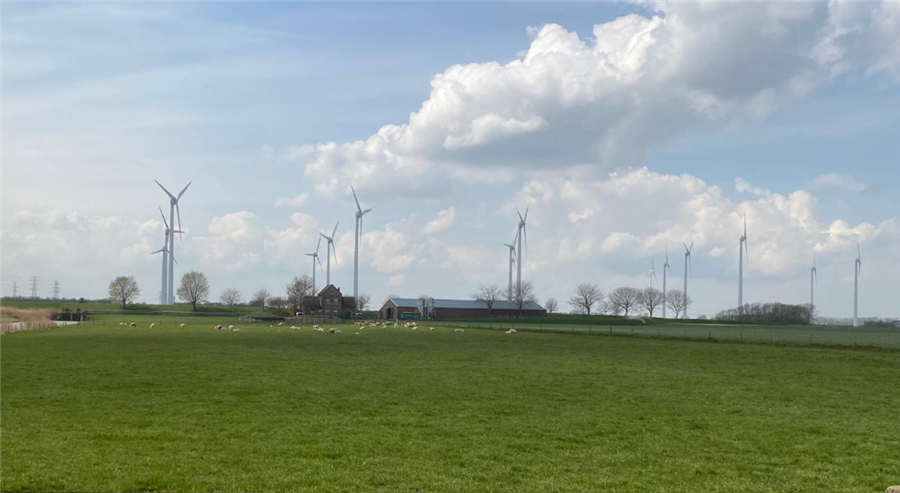Bericht Eigen normeringen Windpark Ze-Bra bekijken